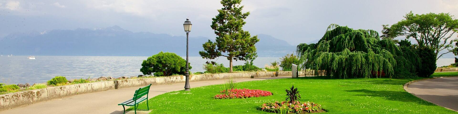 Morges que incluye un parque y flores