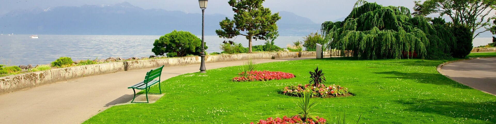 Morges featuring flowers and a park
