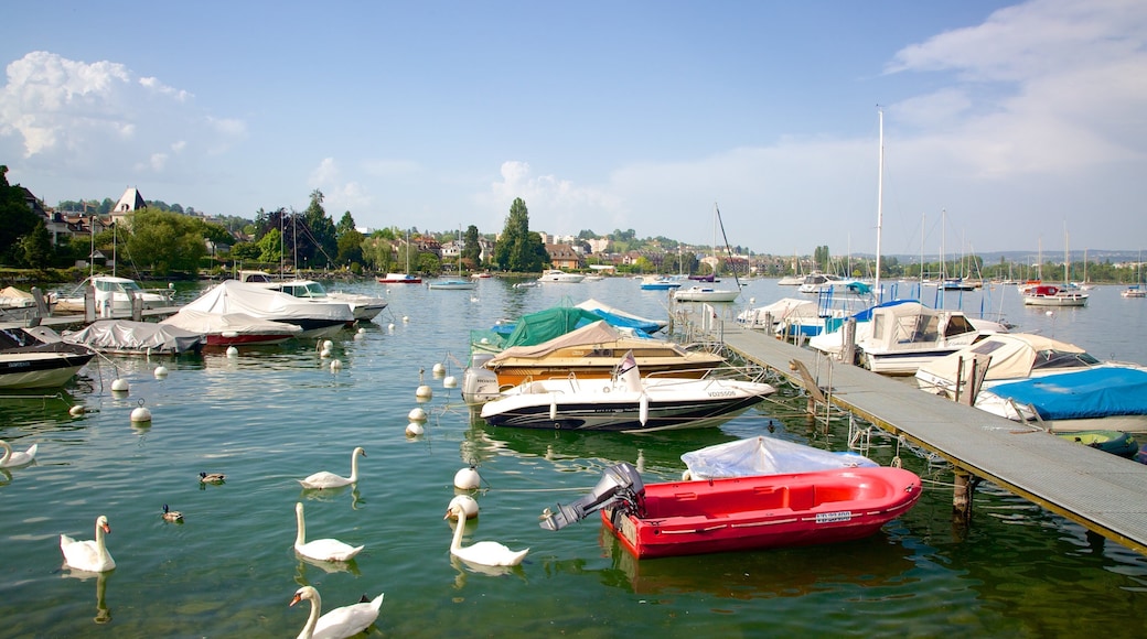 Morges showing bird life, boating and a lake or waterhole