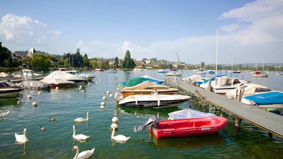 A marina with various boats docked, swans swimming, and a clear sky.
