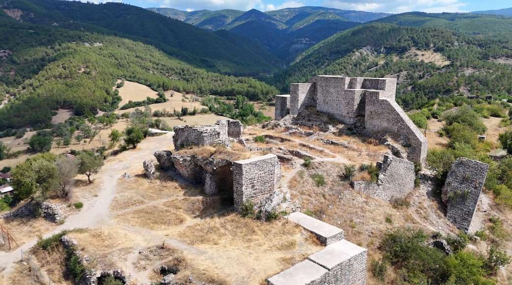 Niksar Castle, locally known as Niksar Kalesi, lies in the city of the same name, in the province of Tokat in Turkey.