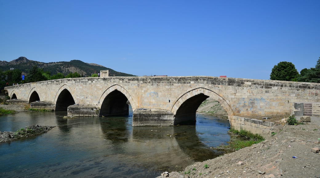 A view from the historical Hidirlik Bridge in Tokat, Turkey