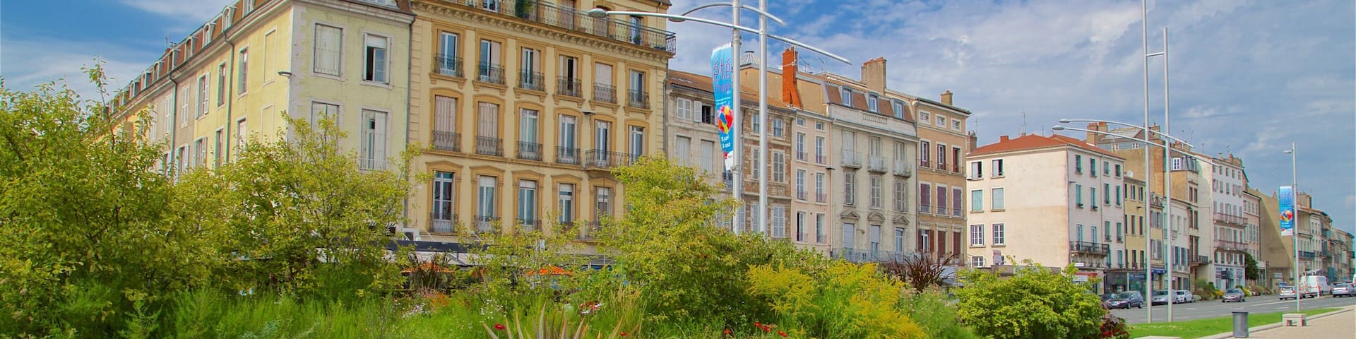 Mâcon mit einem Stadt und Wildblumen