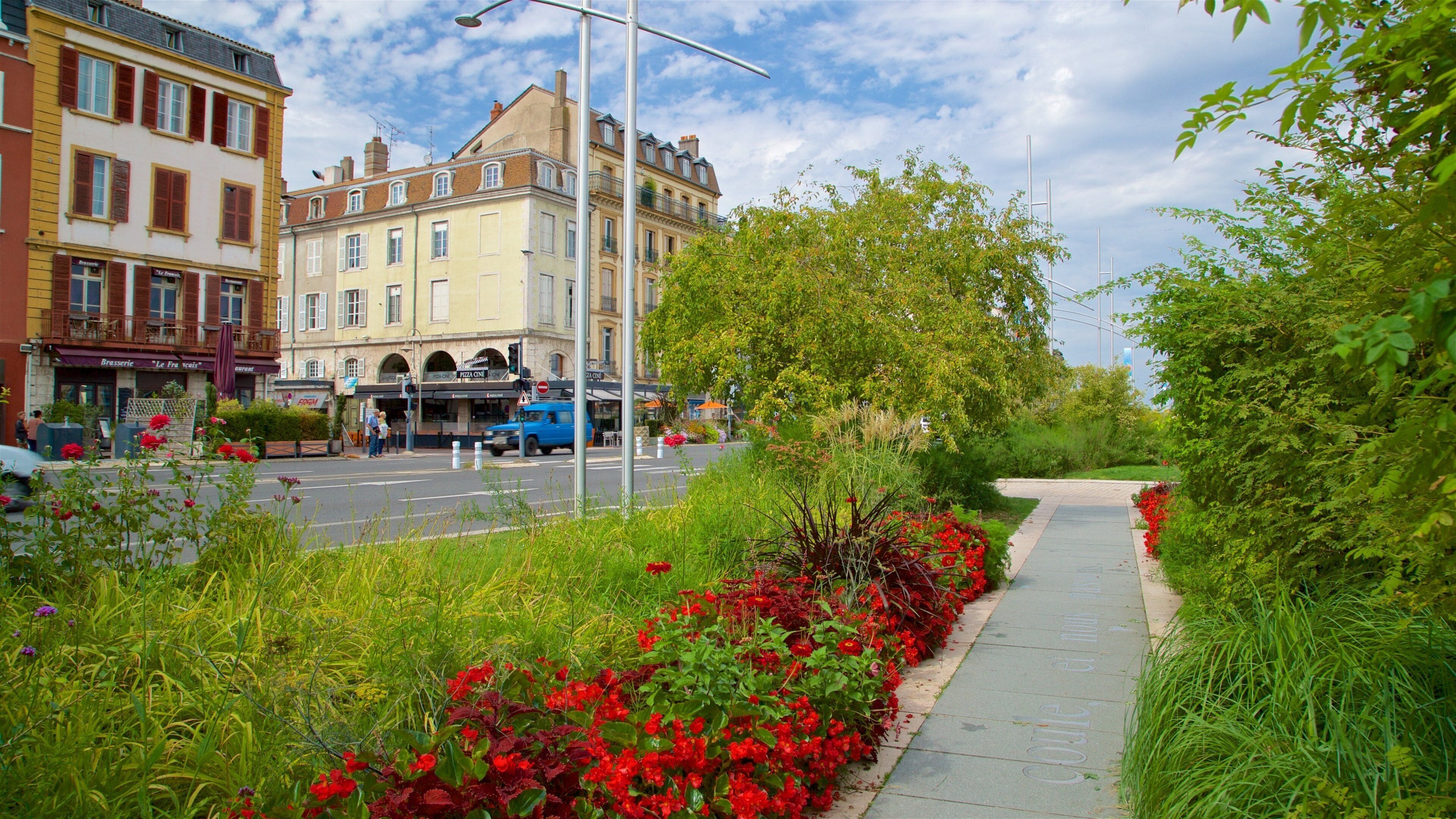 Macon toont wilde bloemen