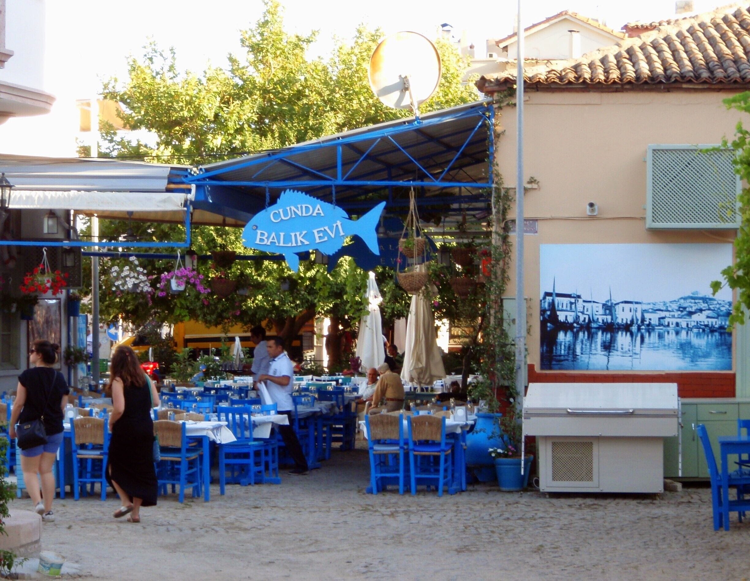 Cunda - vividly island in Balikesir, Turkey
#BVSBlue #blue