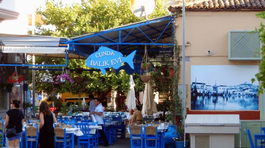 Cunda - vividly island in Balikesir, Turkey
#BVSBlue #blue