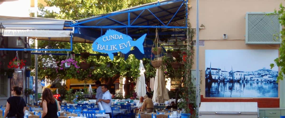 Cunda - vividly island in Balikesir, Turkey
#BVSBlue #blue