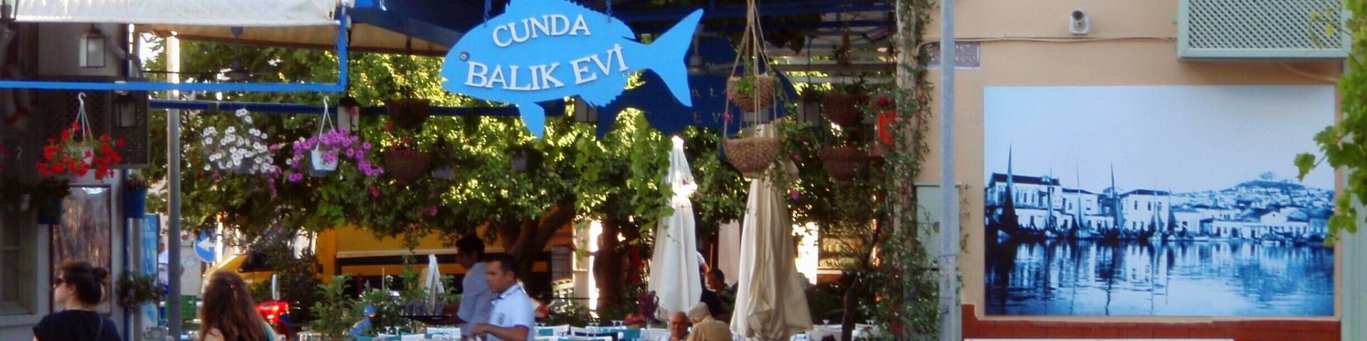 Cunda - vividly island in Balikesir, Turkey
#BVSBlue #blue