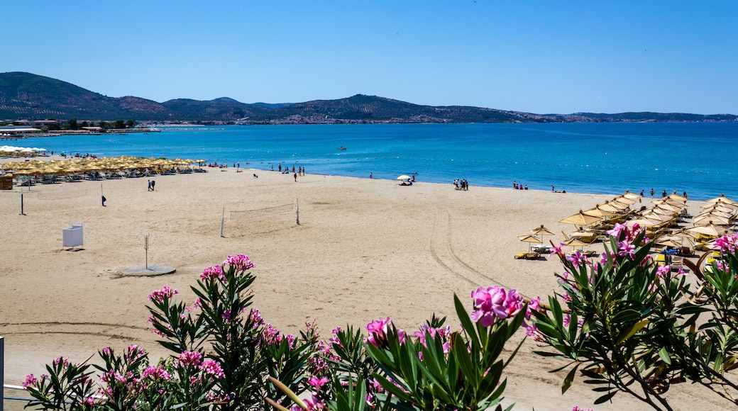Oren Beach Panoramic view. Burhaniye district popular touristic destination a summer day. Summer beach landscape. Balikesir Turkey