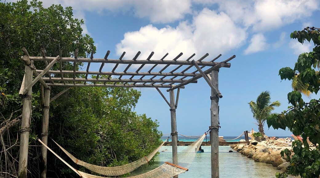 This is what paradise looks like