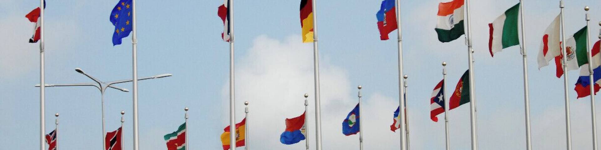 The main airport in Aruba welcomes visitors with a traffic roundabout that displays it's international collection of flags!