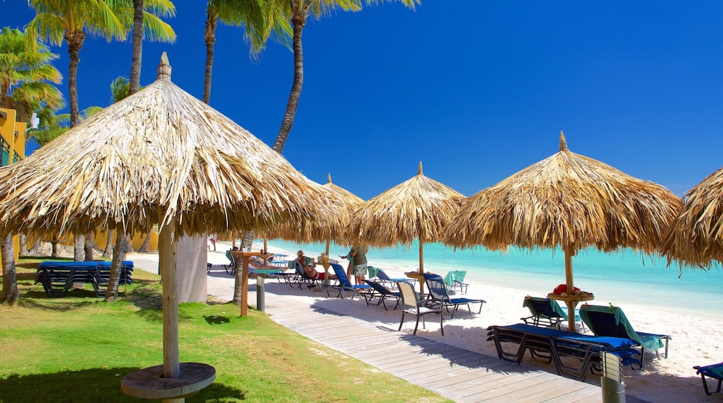 Oranjestad showing tropical scenes and a sandy beach