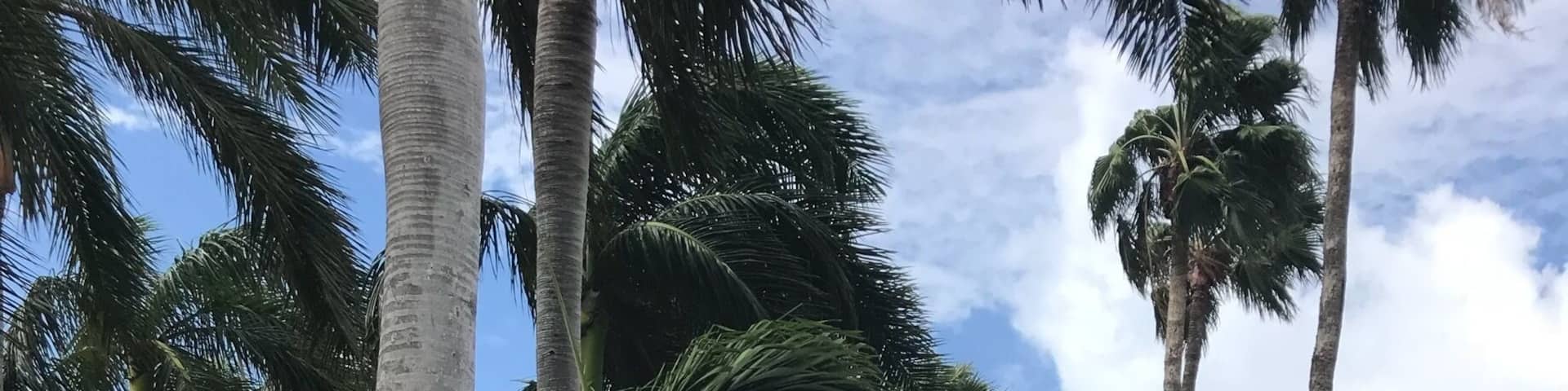 Love the juxtaposition of the classic British Phone Booth in the tropics #UrbabJungle