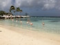 A beach with clear turquoise water, several flamingos standing in the shallow water, and a rocky breakwater with palm trees in the background.