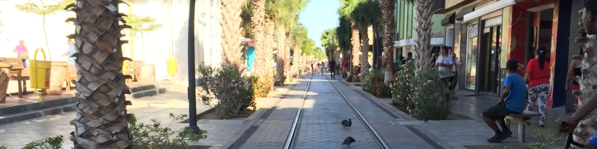 Beautiful streets of Oranjestad, Aruba! Nice walk to take while there! #patterns