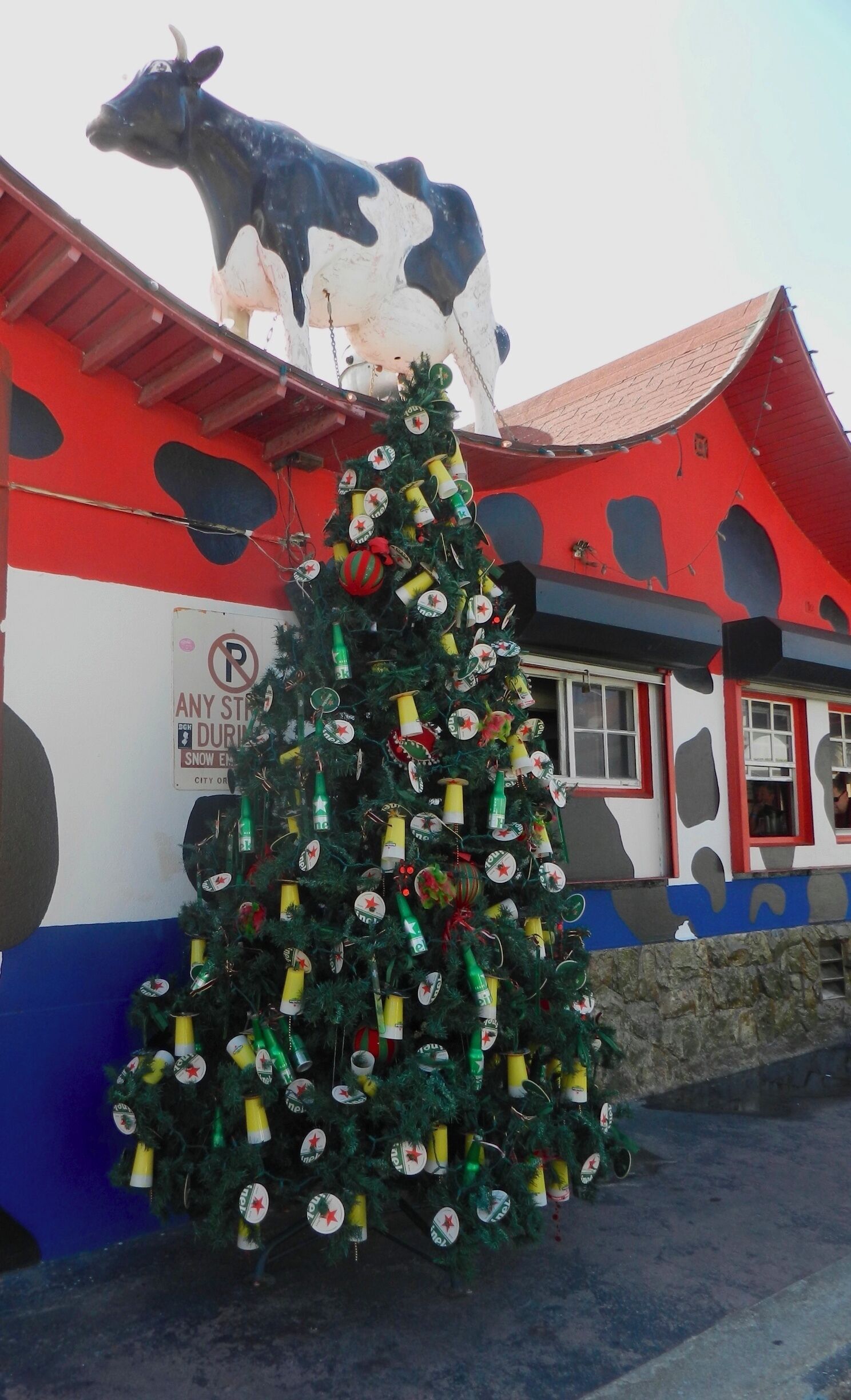 Heineken fans will like the Christmas decorations on this tree in front of this Aruban bar.  