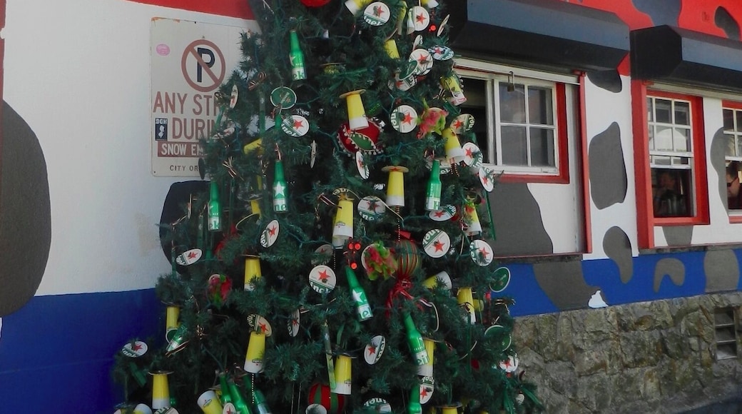 Heineken fans will like the Christmas decorations on this tree in front of this Aruban bar.