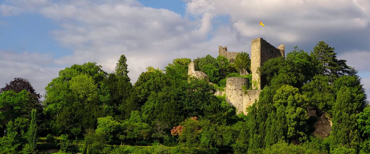 A historic castle surrounded by lush greenery and a partly cloudy sky.