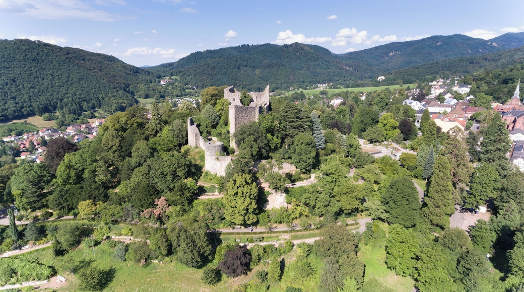 Aerial view Castle Baden