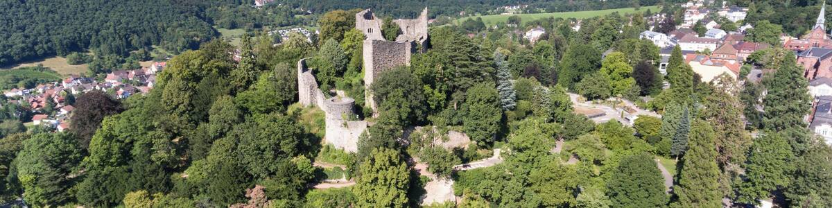 Aerial view Castle Baden