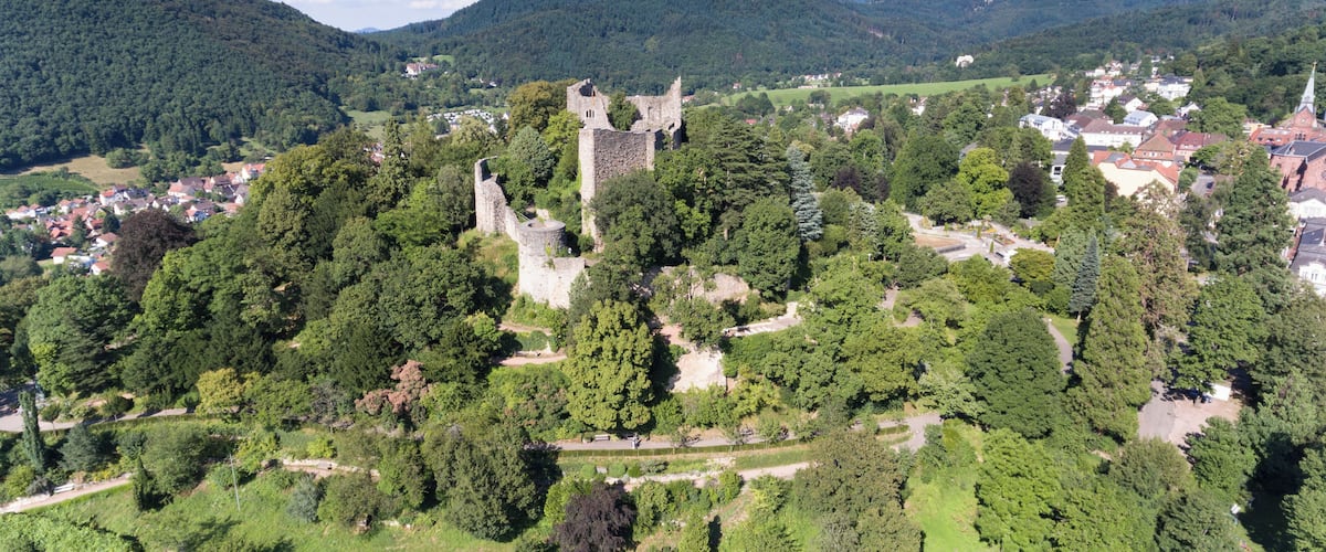 Aerial view Castle Baden