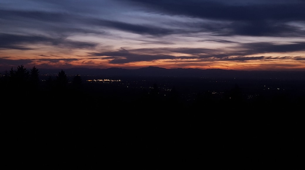 Forests and sunsets with incredible views. Still getting used to being able to see another country from my window. As the sun sets over the French mountains I sit here in Germany and watch the lights of a French town flickering like fire.
