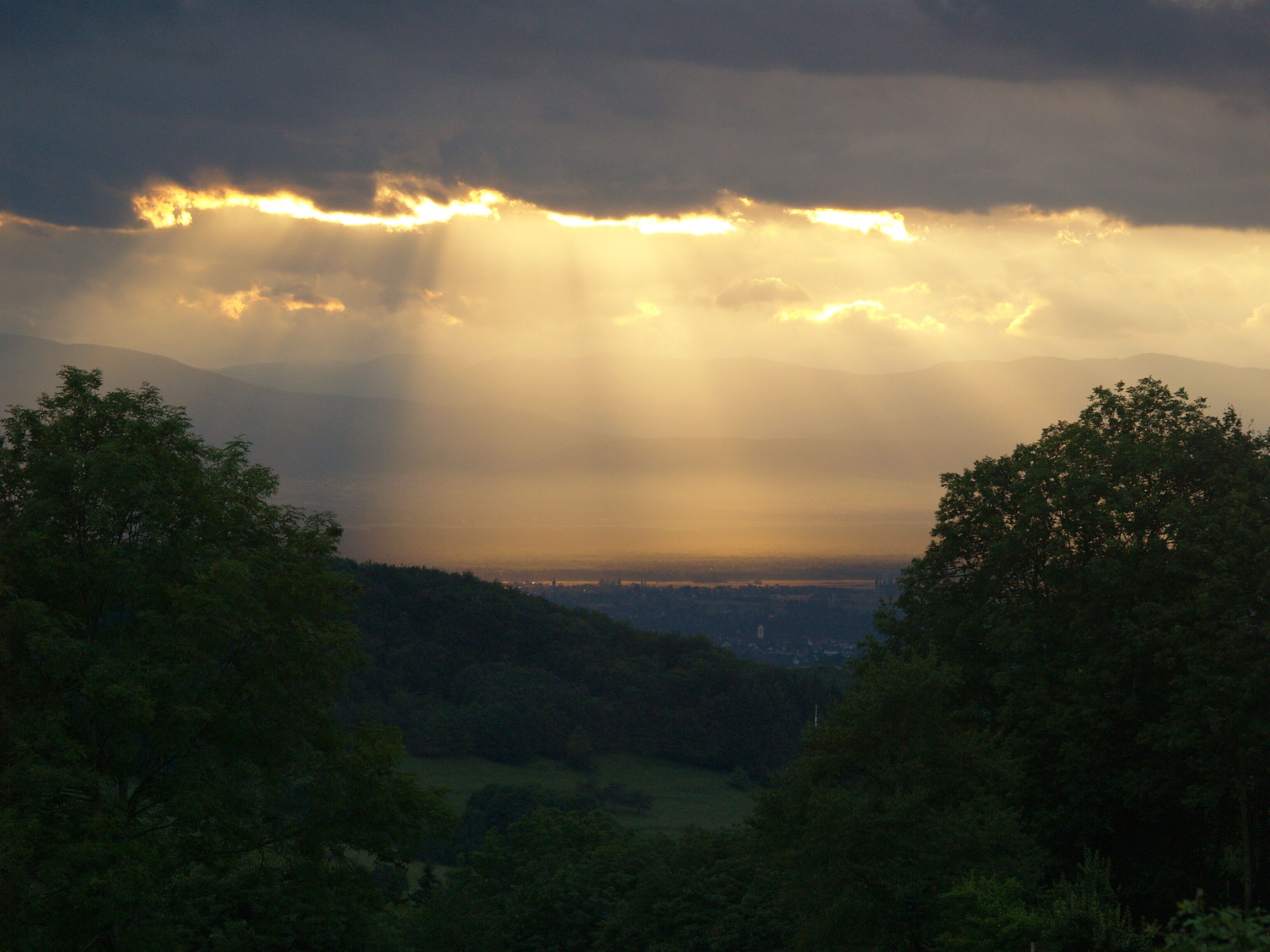 A valley with dense trees and a distant city skyline under a cloudy sky.