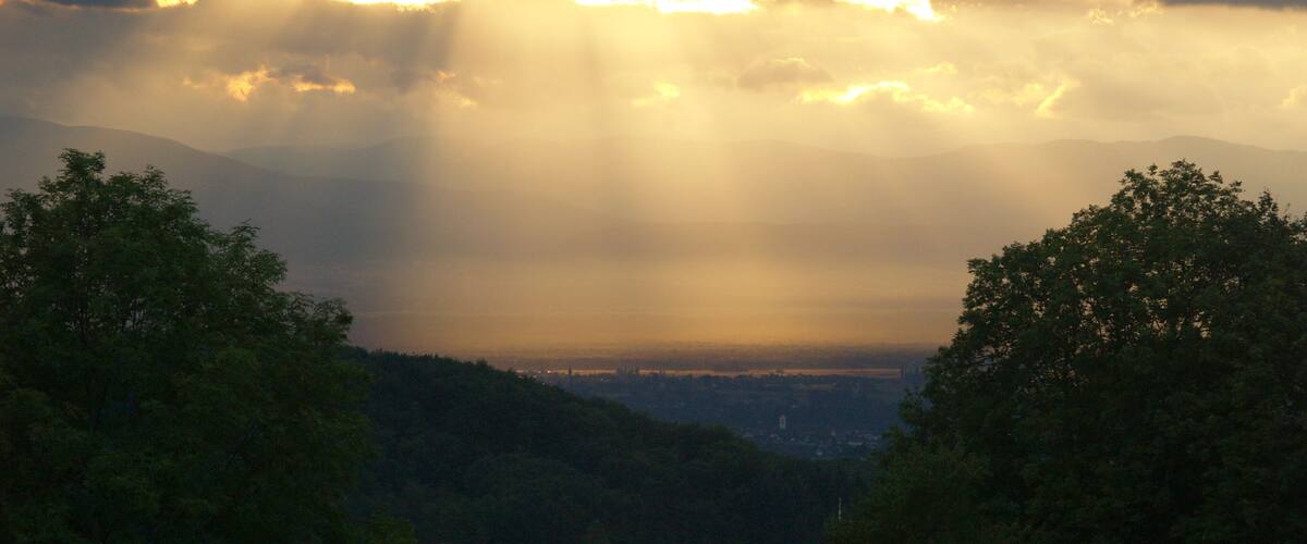 A valley with dense trees and a distant city skyline under a cloudy sky.