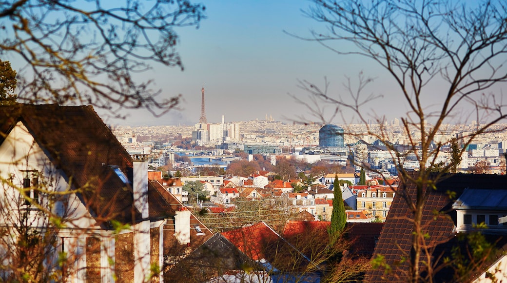 Panoramic skyline of Paris with the Eiffel tower and Sacre-Coeur cathedral
