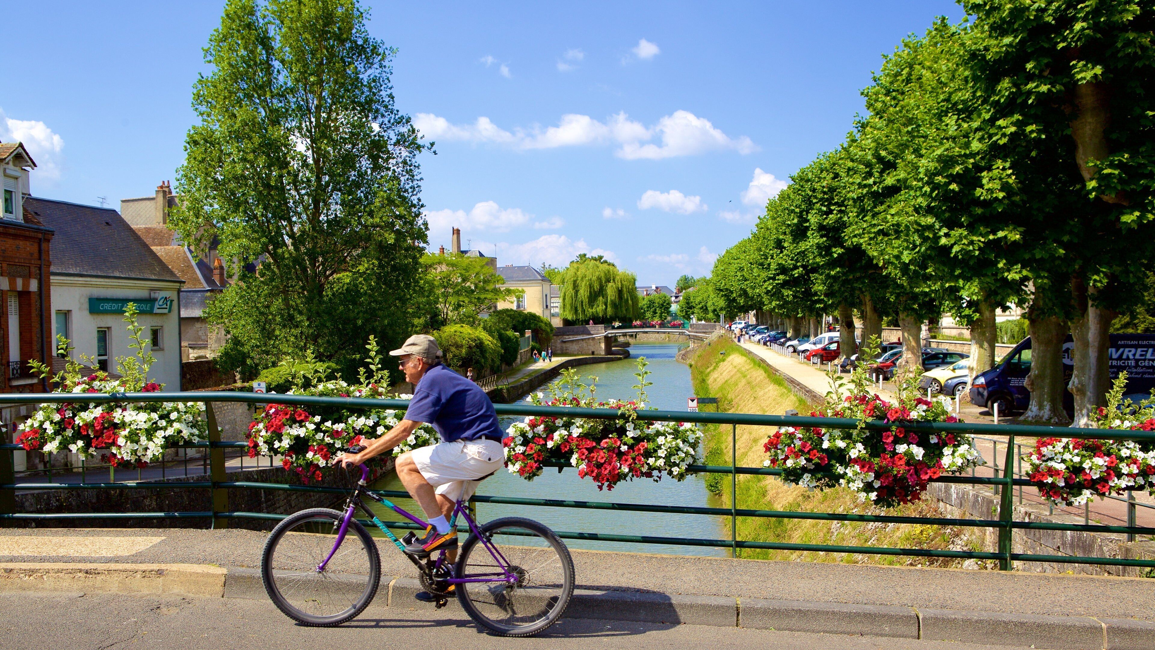 Montargis which includes a river or creek, flowers and a bridge