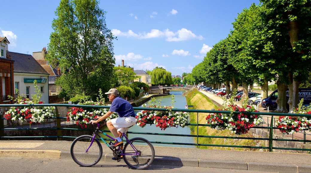 Montargis which includes a river or creek, flowers and a bridge