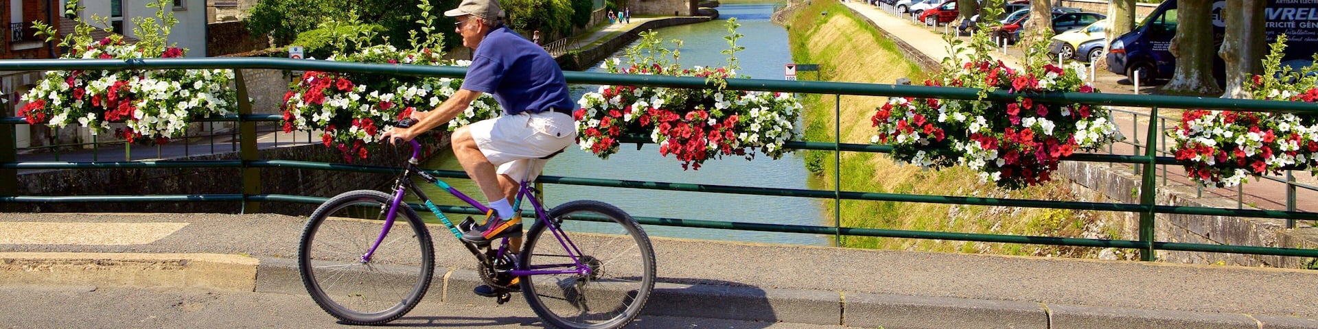Montargis which includes a river or creek, flowers and a bridge