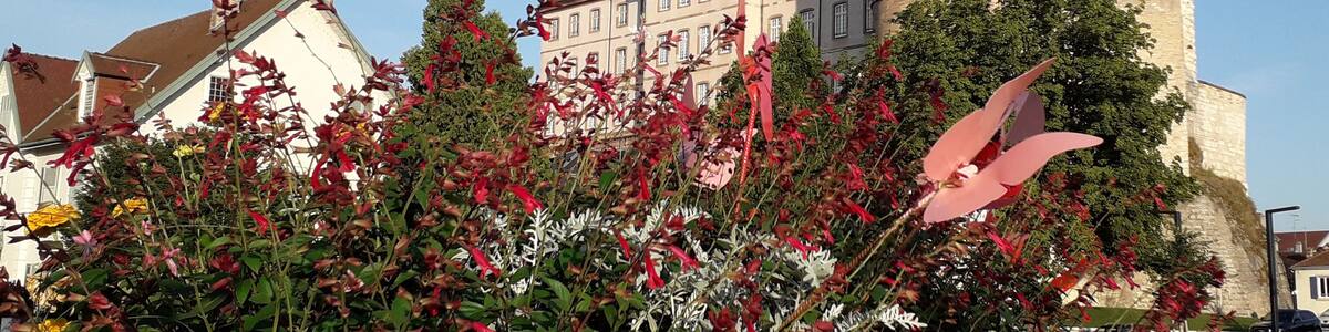 It might be the grandest site in the town, but it is pretty special.