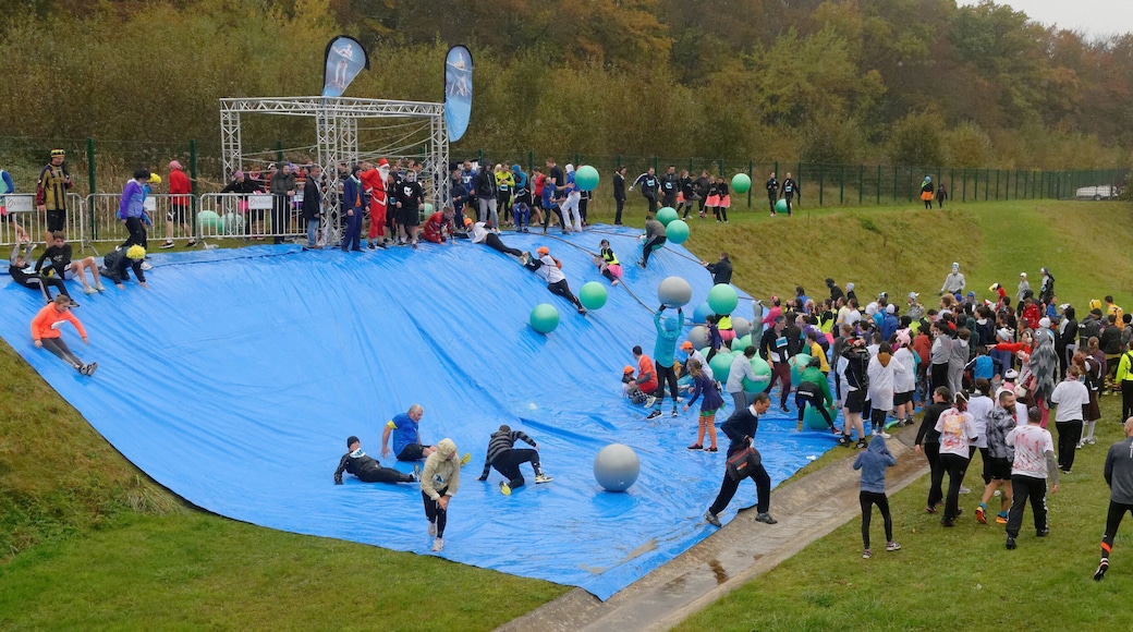 Personality rights Personality rights warningAlthough this work is freely licensed or in the public domain, the person(s) shown may have rights that legally restrict certain re-uses unless those depicted consent to such uses. In these cases, a model release or other evidence of consent could protect you from infringement claims. Though not obliged to do so, the uploader may be able to help you to obtain such evidence. See our general disclaimer for more information.