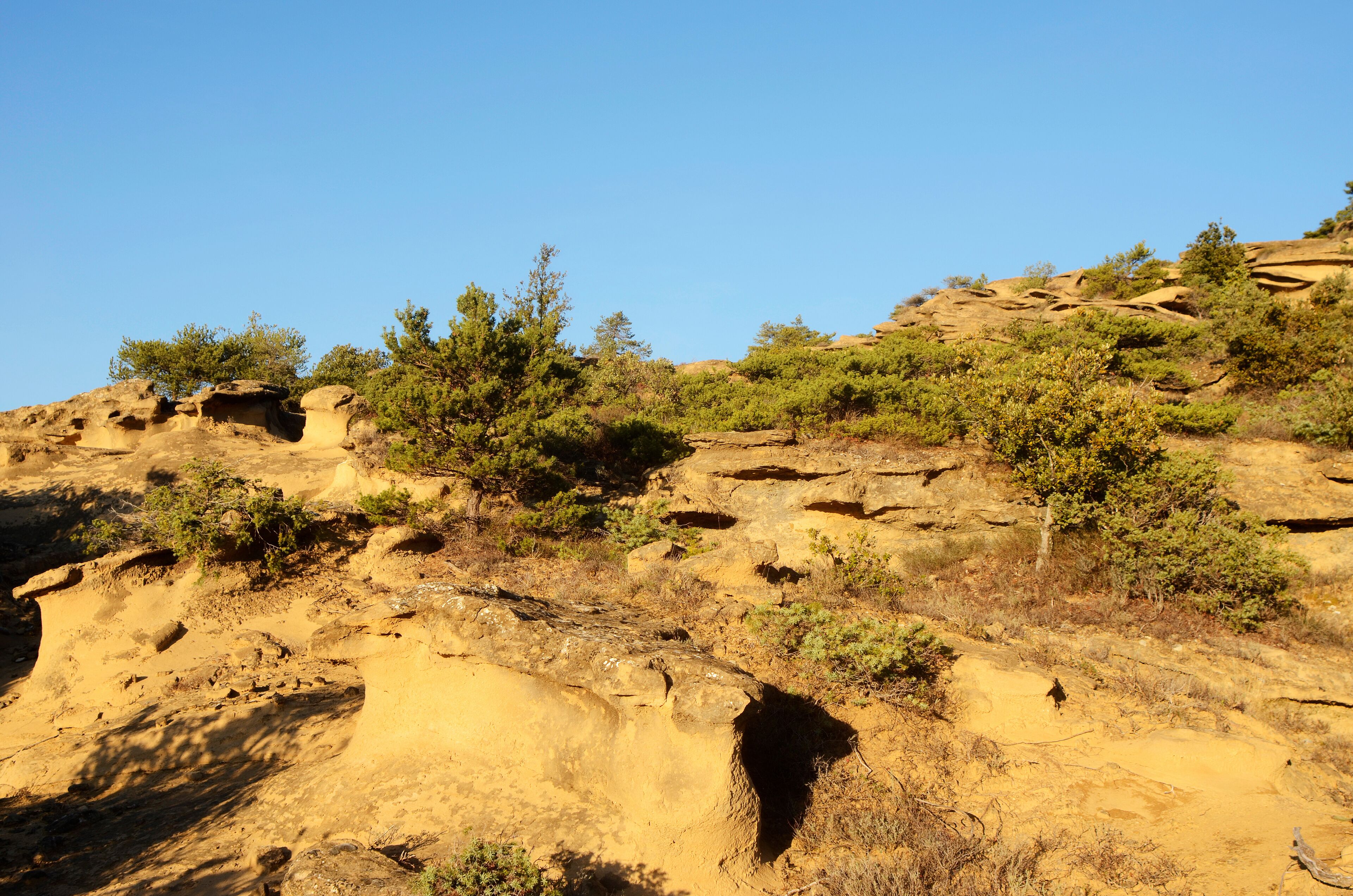 Safres landscape in South France