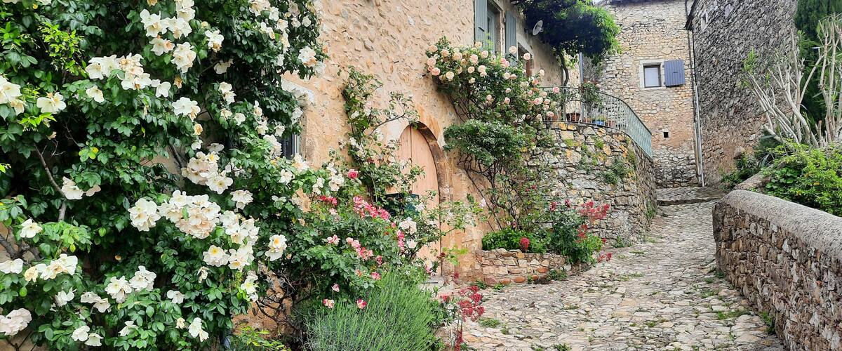 A cobblestone alley flanked by stone buildings with flowering vines and a stone wall.
