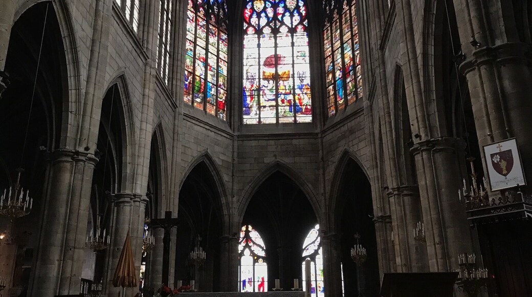 You feel small and humble if you look up to the ceiling of Moulins Chathedral
