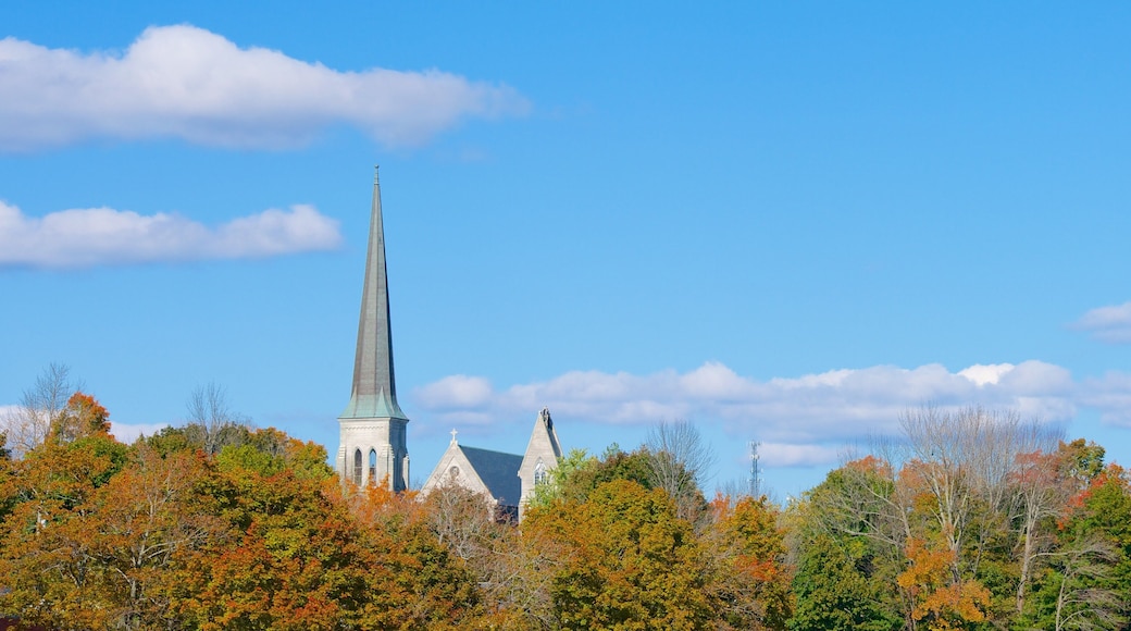 Augusta showing fall colors