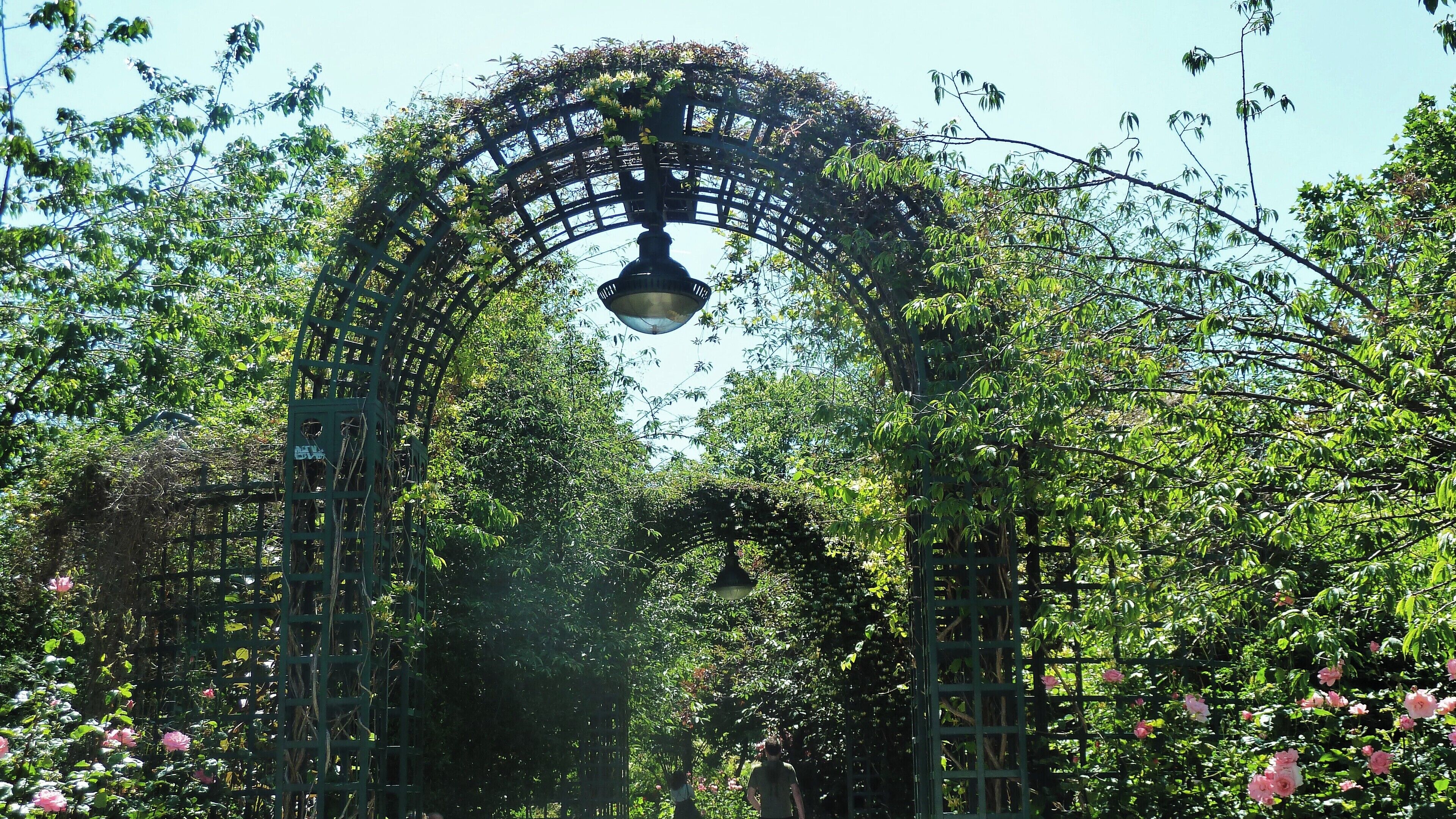 Coulée verte René-Dumont1 (Mai 2017)