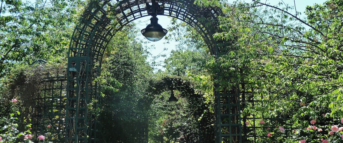 Coulée verte René-Dumont1 (Mai 2017)