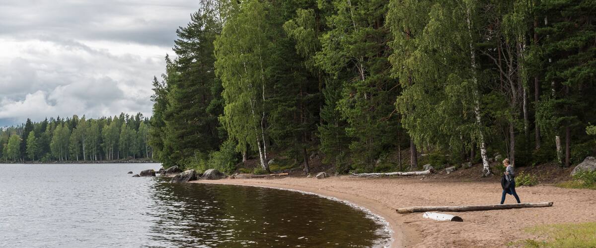 A sandy beach with a person walking, surrounded by dense green trees and a calm lake.