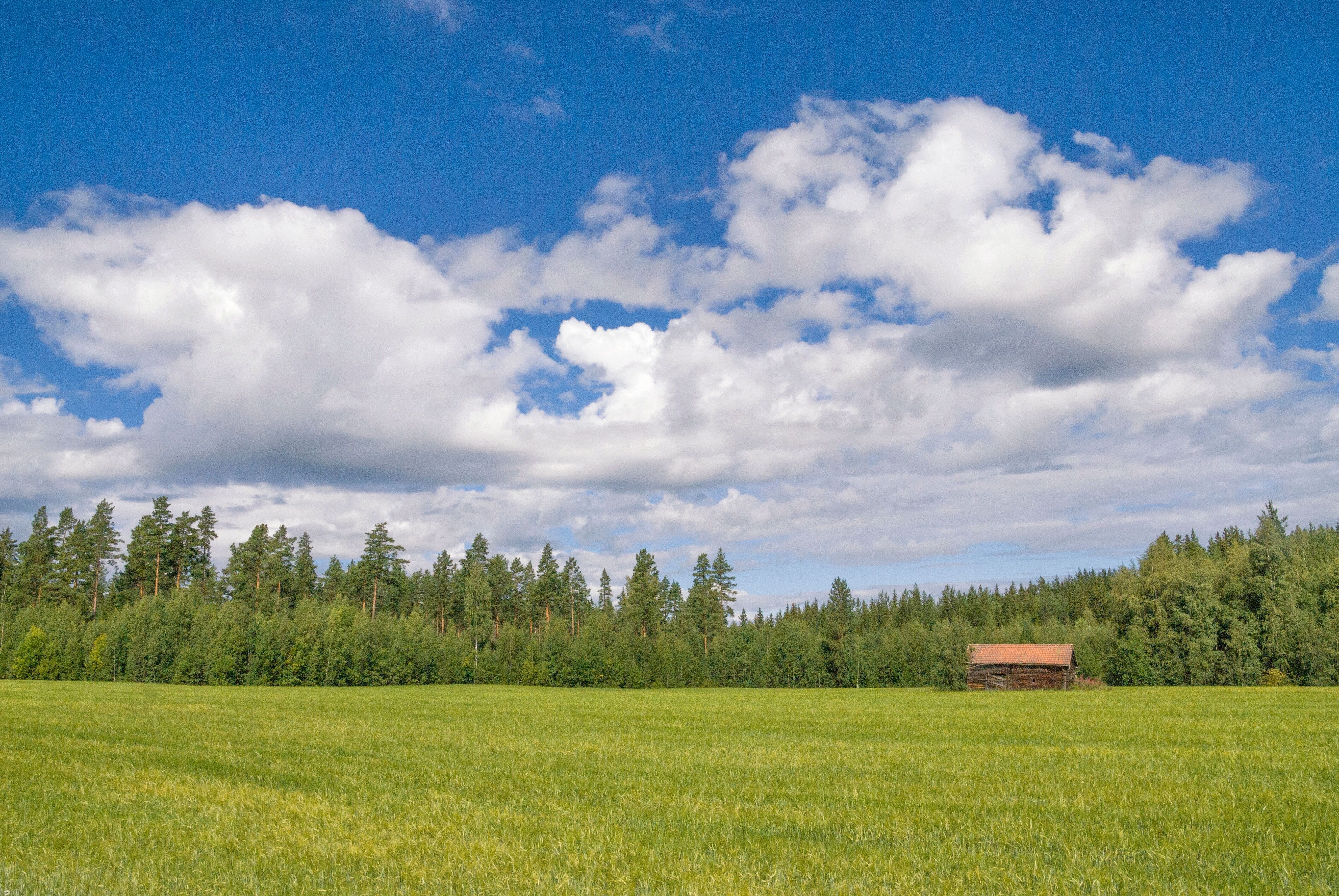 Landscape near the Swedish village Bollnas