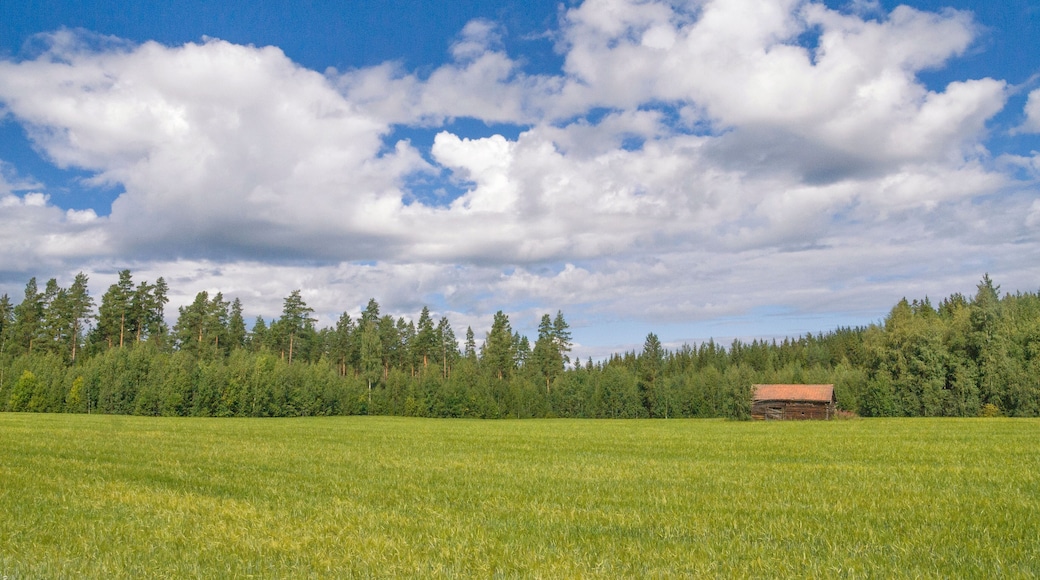 Landscape near the Swedish village Bollnas