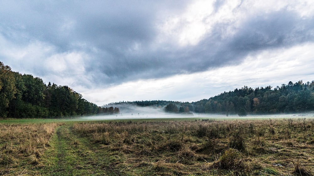 Morning mist.