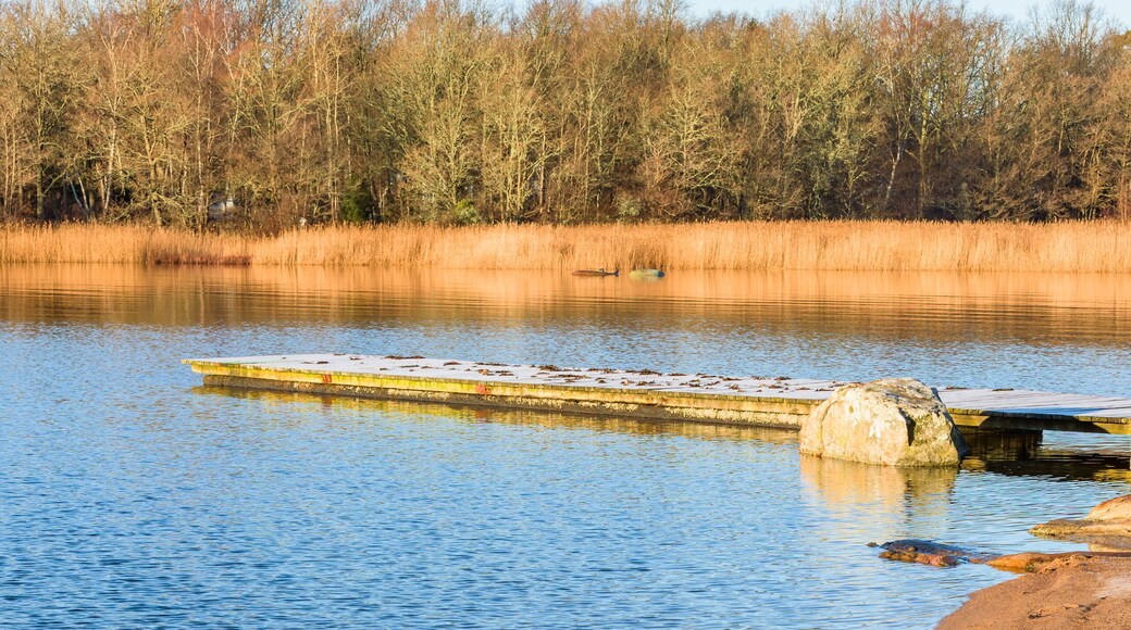Sandy beach with wooden pier and granite boulder in the water. Location Nattraby, Karlskrona, Sweden.