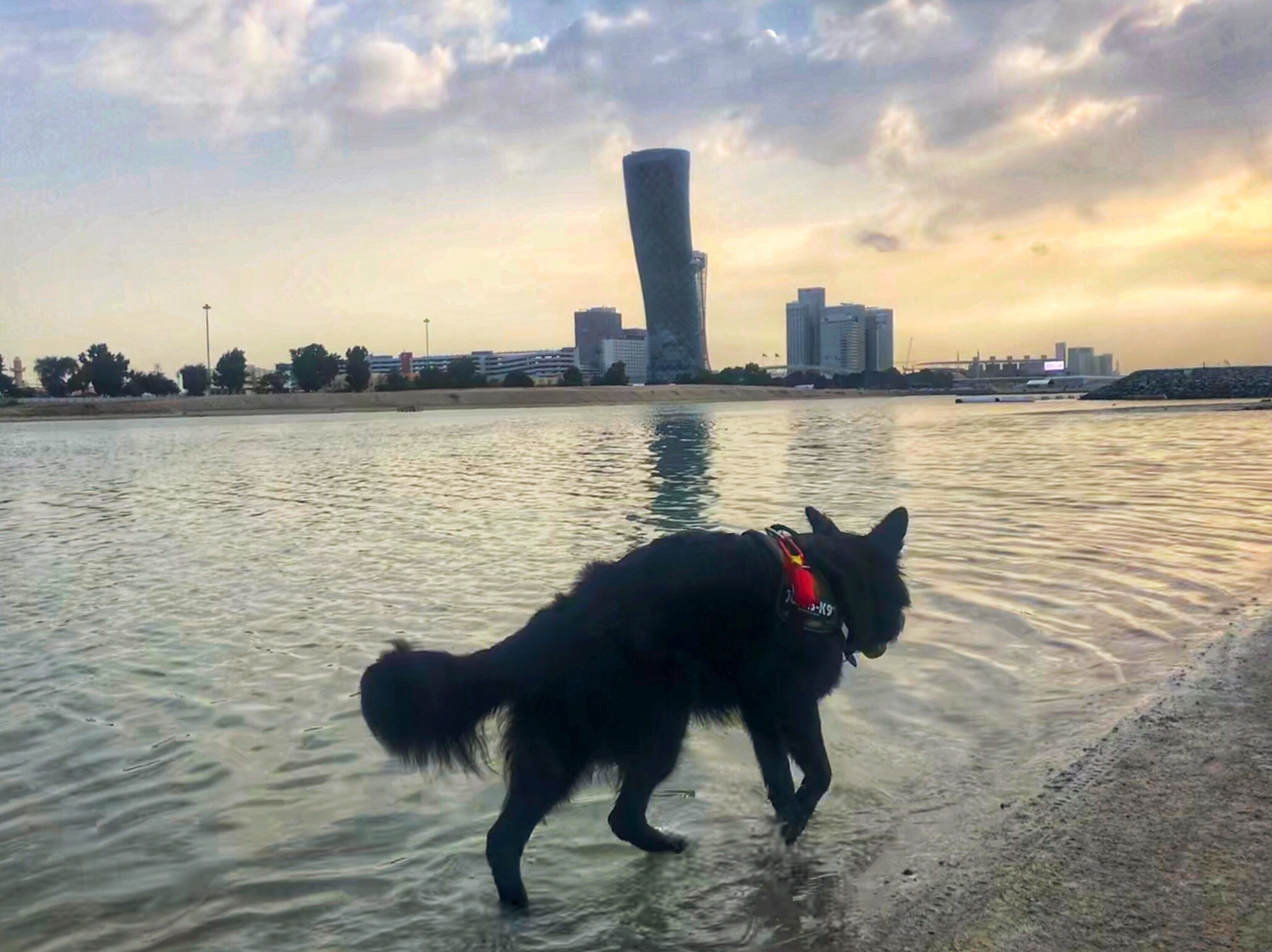 Abu Dhabi’s leaning tower