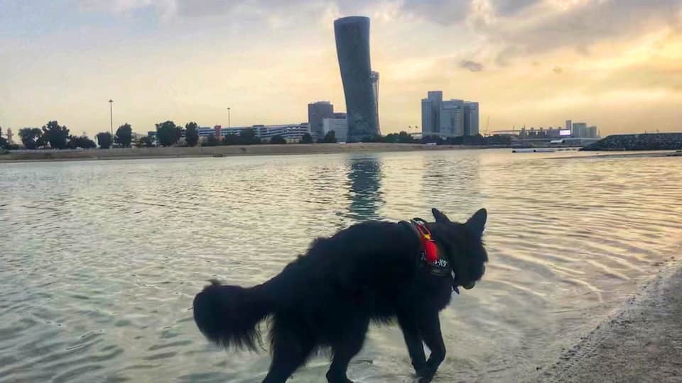 Abu Dhabi’s leaning tower