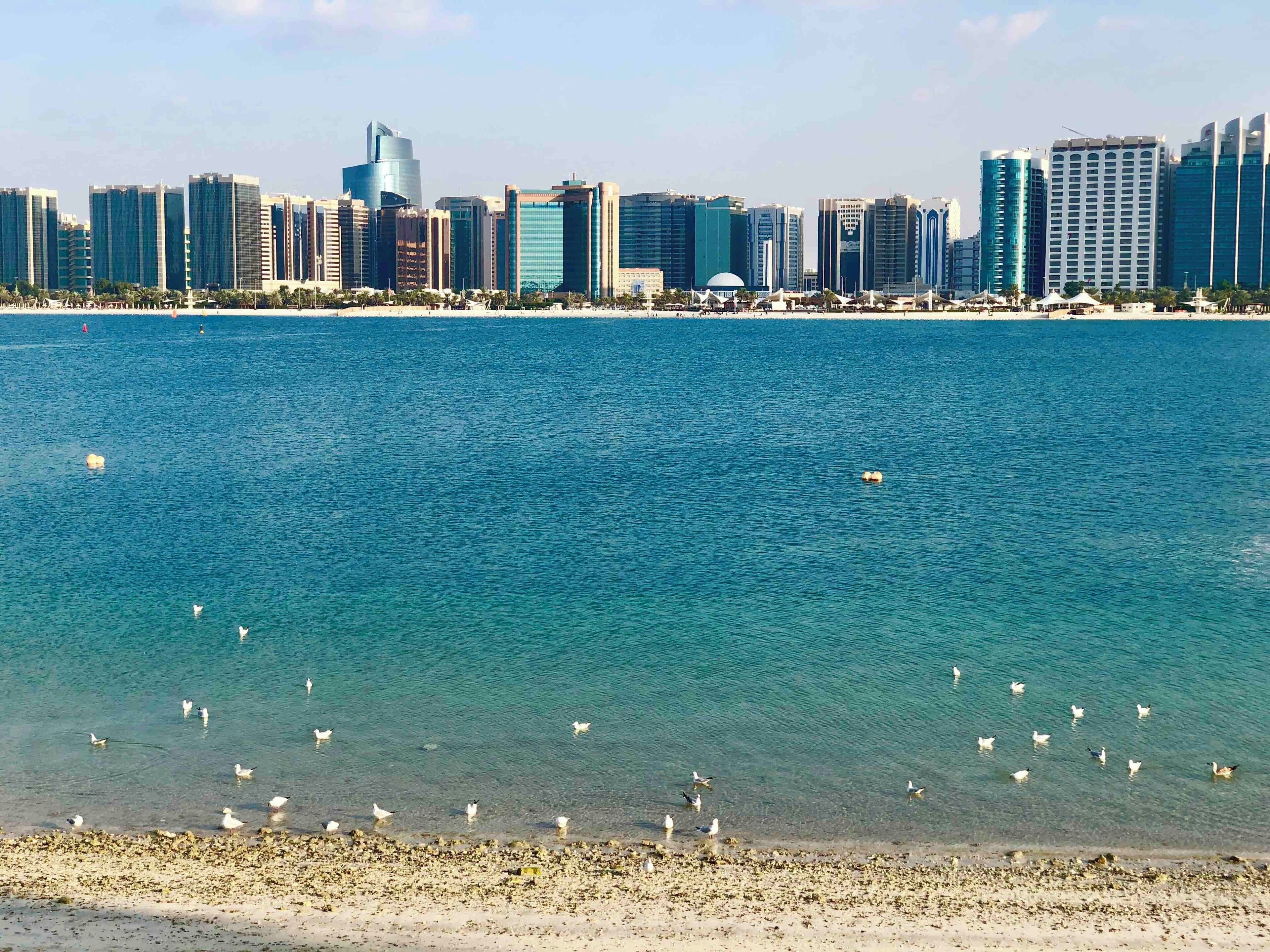 Abu Dhabi skyline from the beach