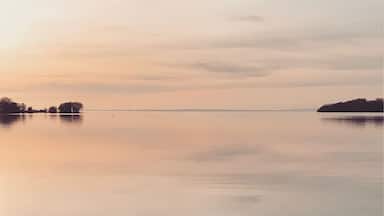 #SpringFun evening by the lake watching the swans disappear in the distance
#peaceful #relaxing #beautiful #bright #nights