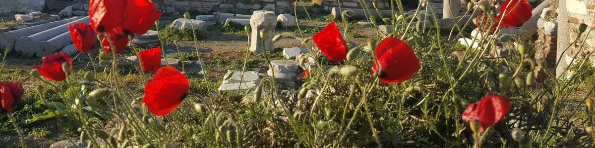 The castle is more like ruins.Plenty of history